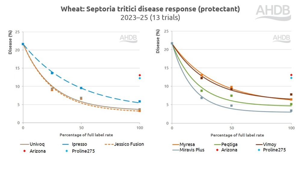 Wheat septoria tritici disease response to fungicides chart (eradicant) 2023–25.